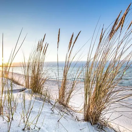 Luettes Tohuus Sylt