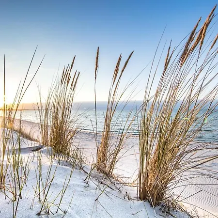 Luttes Tohuus Sylt